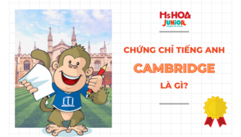Chứng chỉ Cambridge là gì? Tổng hợp thông tin đầy đủ nhất