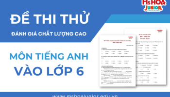 Bộ đề thi thử đánh giá chất lượng cao vào lớp 6 | Môn tiếng Anh | Full đề + Đáp Án