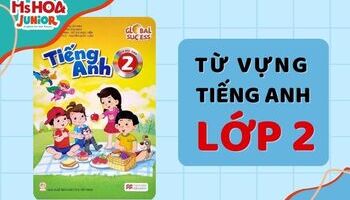 Trọn bộ từ vựng tiếng Anh lớp 2 - Phiên âm và ảnh minh họa