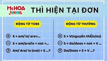 Thì hiện tại đơn (Present Simple) - Cấu trúc, cách dùng, dấu hiệu nhận biết