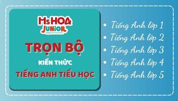 Trọn bộ kiến thức tiếng Anh tiểu học [Bài giảng, Từ vựng, Ngữ pháp]