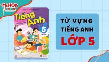 150+ Từ vựng tiếng Anh lớp 5 [Phiên âm - Dịch nghĩa - Hình ảnh]