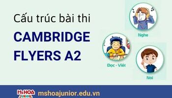Cấu trúc bài thi Cambridge Flyers A2 chi tiết nhất [Upadate liên tục]