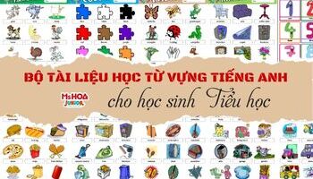 Bộ tài liệu học từ vựng tiếng Anh theo chủ đề cho trẻ Tiểu học
