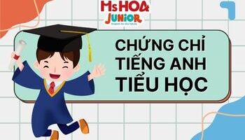 Top các chứng chỉ tiếng Anh tiểu học cho trẻ em phổ biến nhất