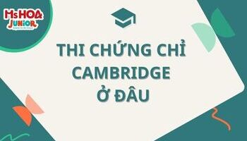 Đăng ký thi chứng chỉ Cambridge ở đâu? 28 Địa điểm uy tín trên toàn quốc
