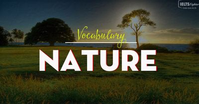 IELTS Vocabulary - Topic: Nature ( weather & natural disasters)