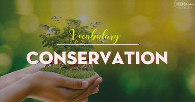 IELTS Vocabulary topic Environment - Conservation