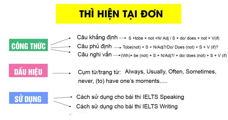 Thì HIỆN TẠI ĐƠN (Present Simple) - Công thức, dấu hiệu, bài tập có đáp án chi tiết