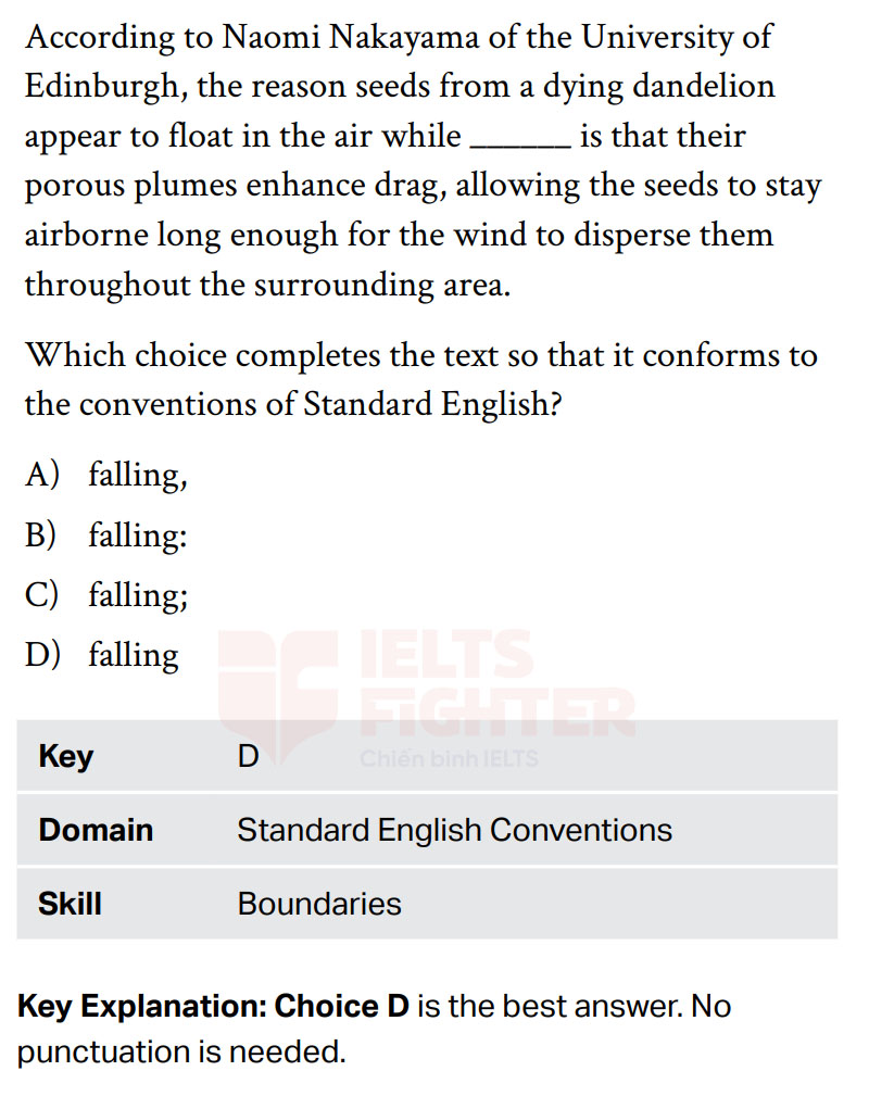 Cấu trúc đề thi SAT Standard English Conventions 2