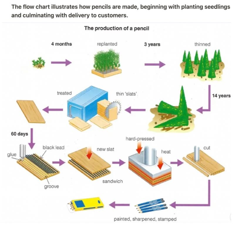 The diagram below shows the production of a lead pencil
