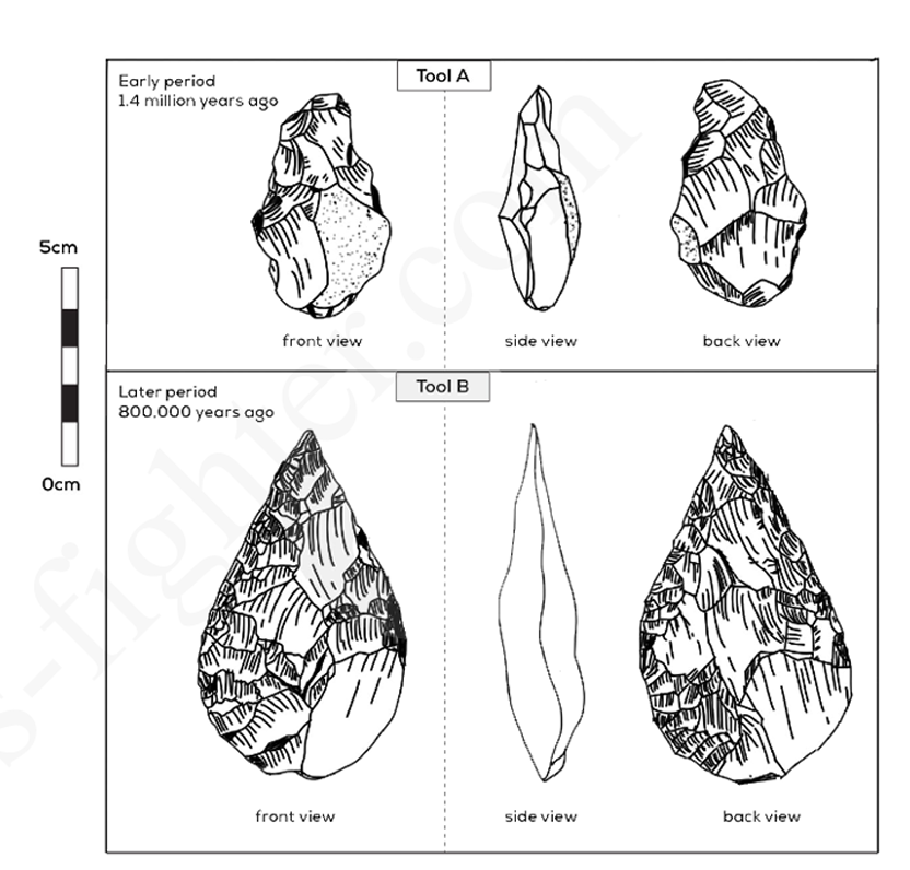 The diagram below shows the development of cutting tools in the Stone Age
