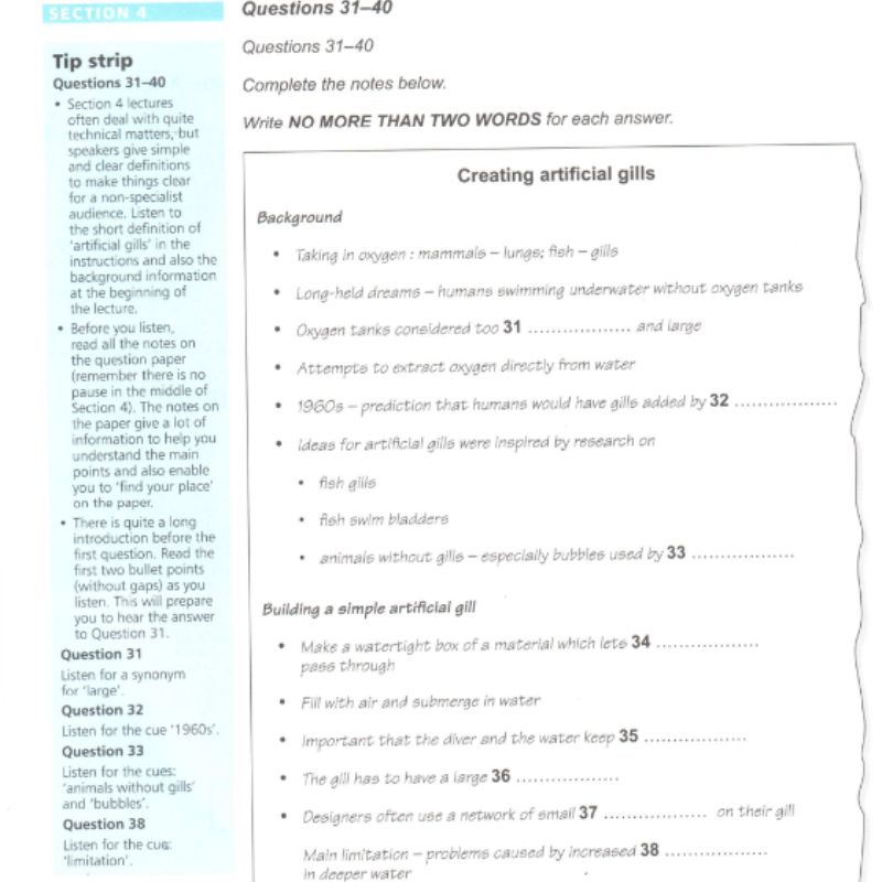 IELTS Practice plus 3 nội dung