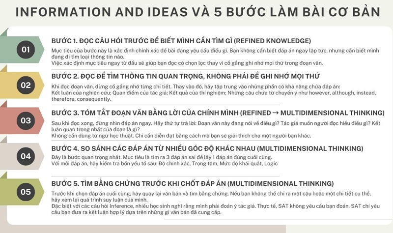 Information and Ideas trong SAT: Dạng b&agrave;i, C&aacute;ch l&agrave;m, V&iacute; dụ, b&agrave;i tập cụ thể