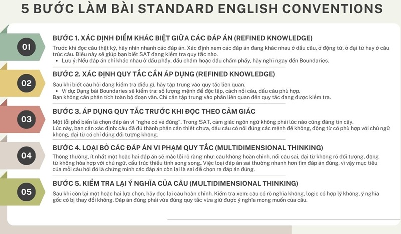 5 bước l&agrave;m b&agrave;i Standard English Conventions