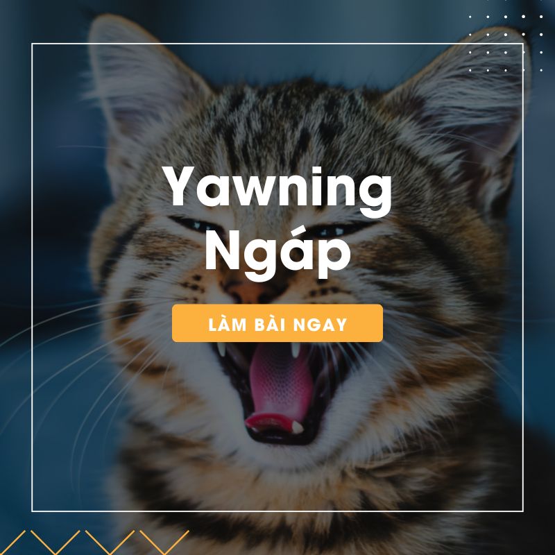 Ảnh test