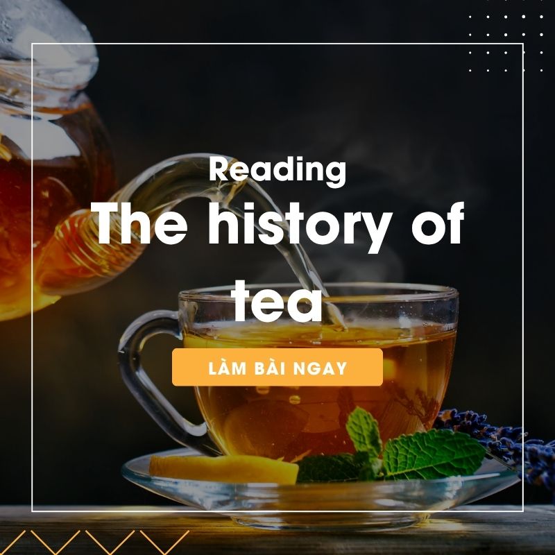 Ảnh test