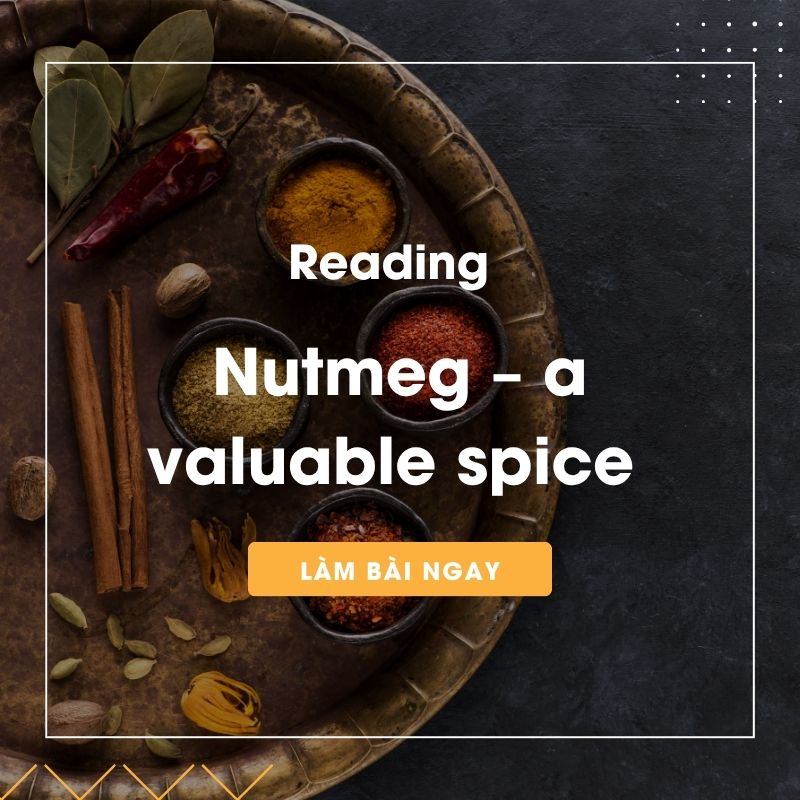 Ảnh test