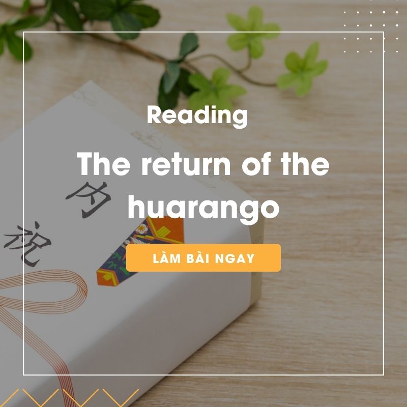 Ảnh test