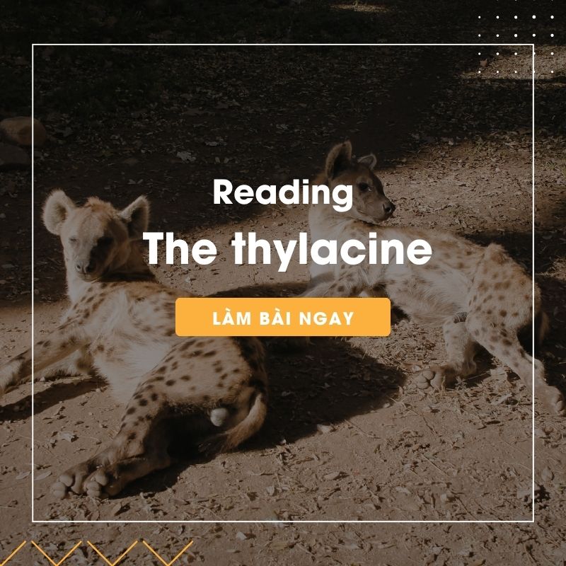 Ảnh test