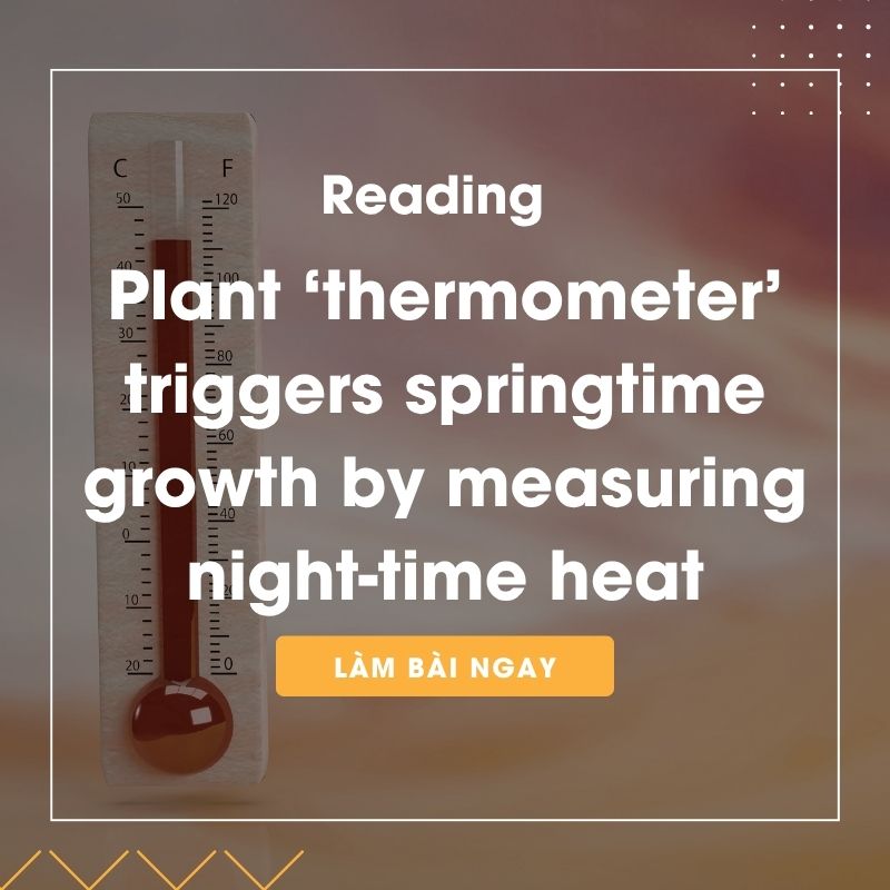 Ảnh test