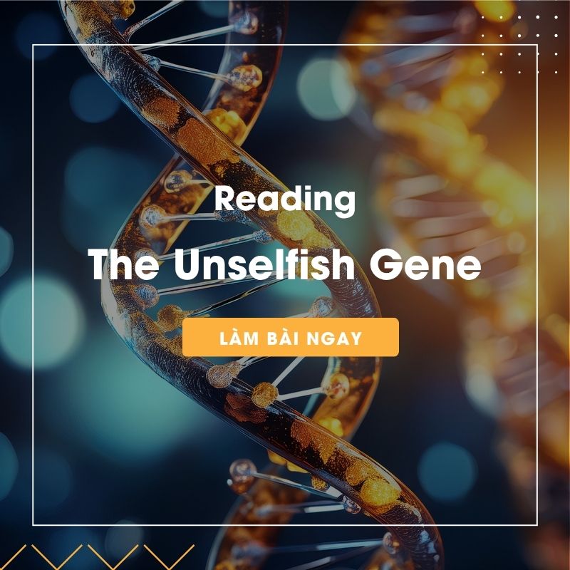 Ảnh test