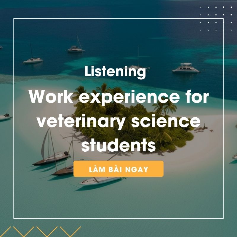 Ảnh test