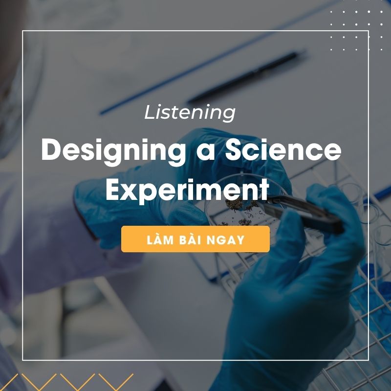 Ảnh test