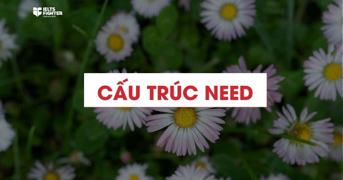 Cấu trúc Need - Cách dùng, bài tập kèm đáp án chi tiết
