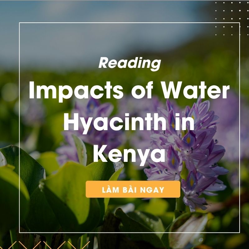 Ảnh test