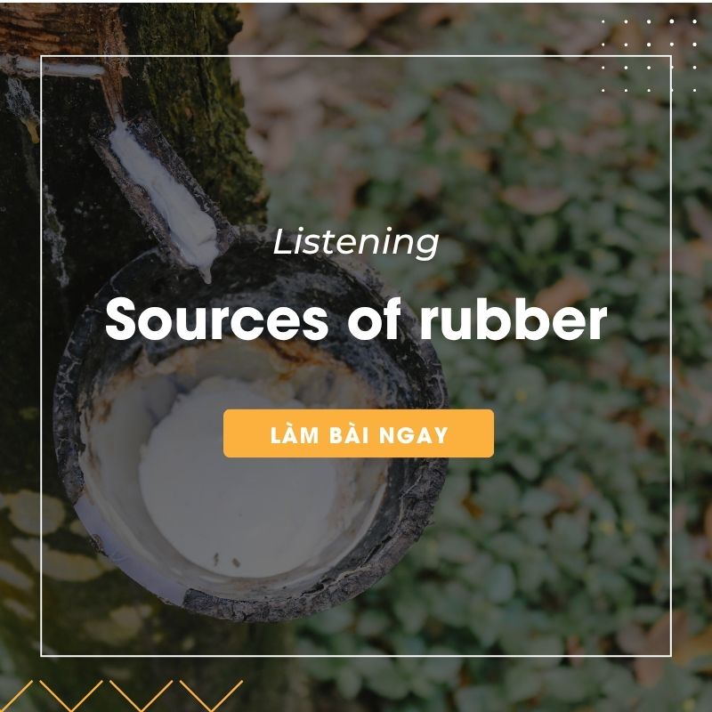 Ảnh test
