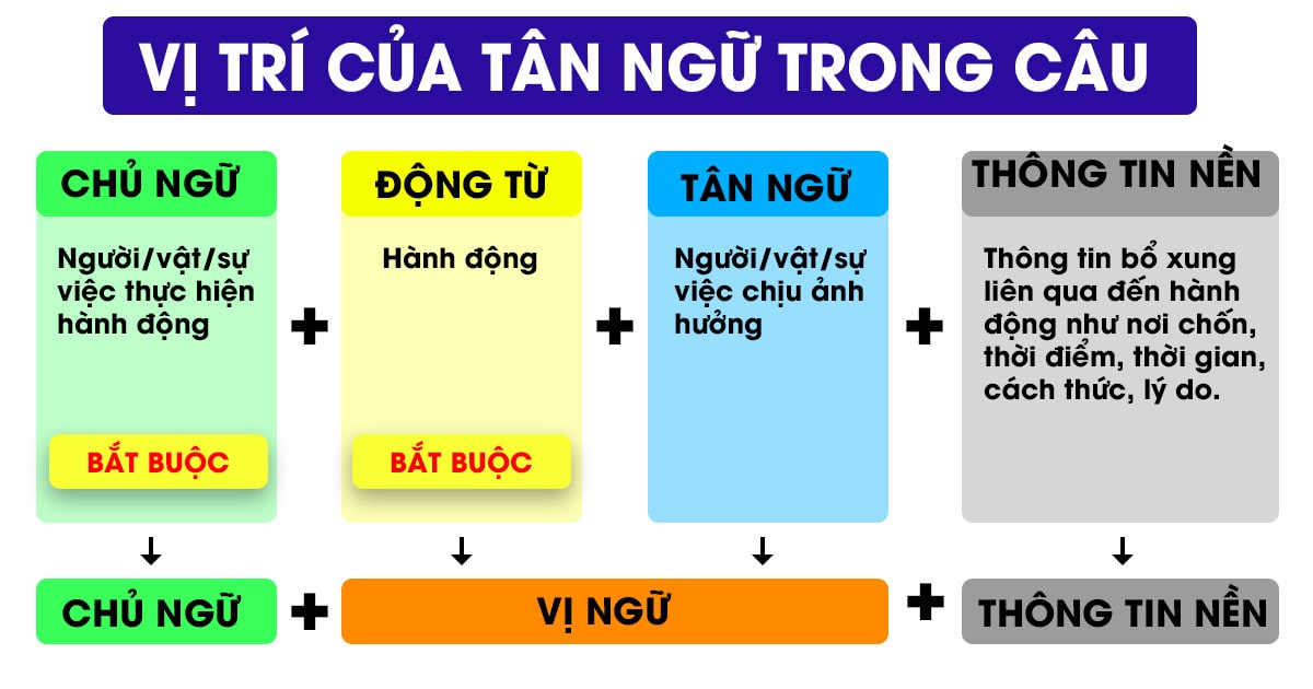 Tân Ngữ Trong Tiếng Anh Là Gì? Hướng Dẫn Phân Loại và Sử Dụng Chi Tiết