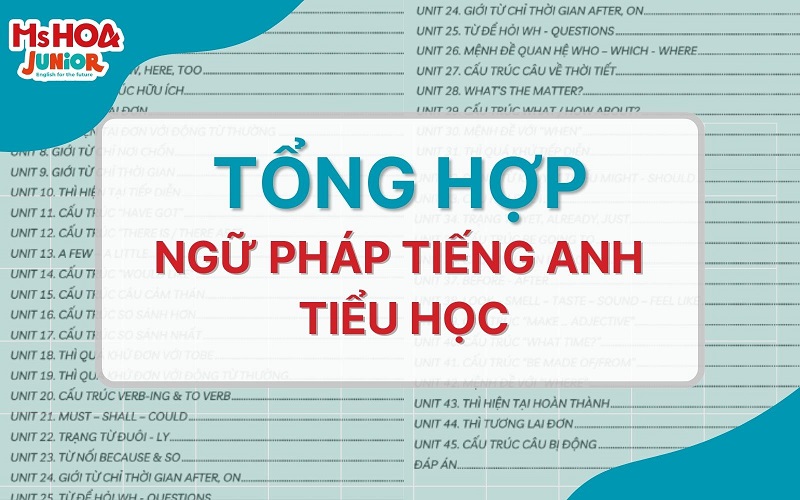 Tổng hợp trọn bộ ngữ pháp tiếng anh tiểu học đầy đủ nhất 2026