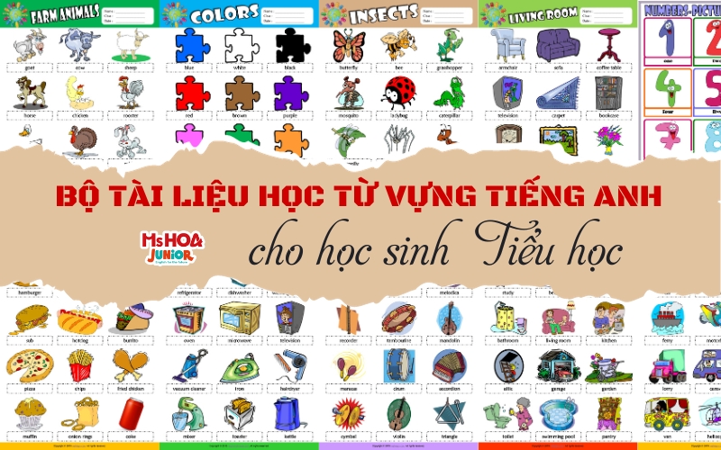 Bộ tài liệu học từ vựng tiếng Anh theo chủ đề cho trẻ Tiểu học