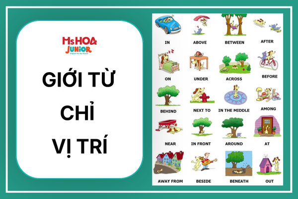Giới từ chỉ vị trí: Cách dùng, phân biệt In, On, At và bài tập